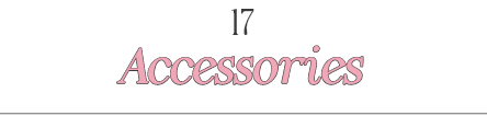 16 ACCESSORIES_