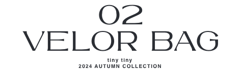 02.VELOR BAG_