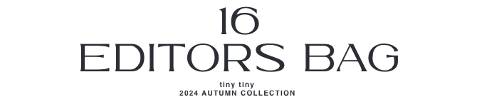 16.EDITORS BAG_