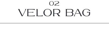 02 VELOR BAG_