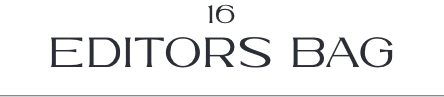 16 EDITORS BAG_