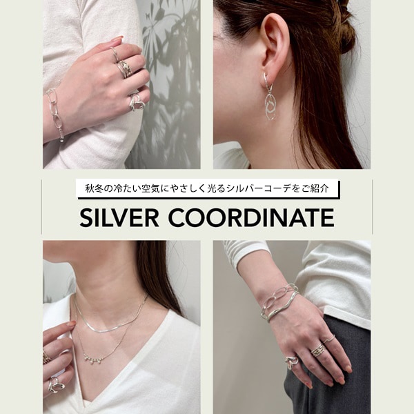 SILVER COORDINATE