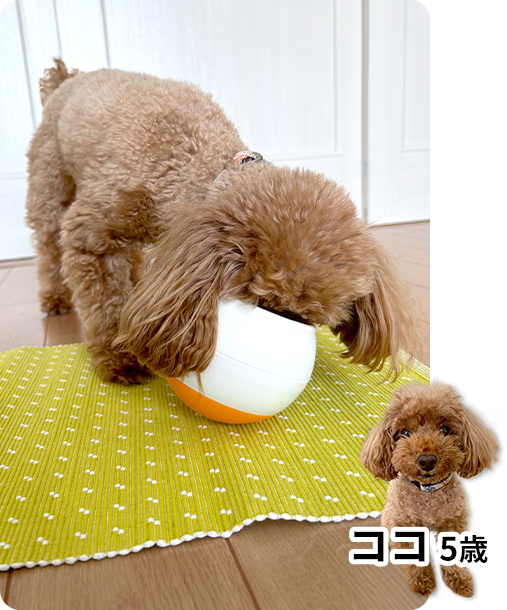 HIROMI