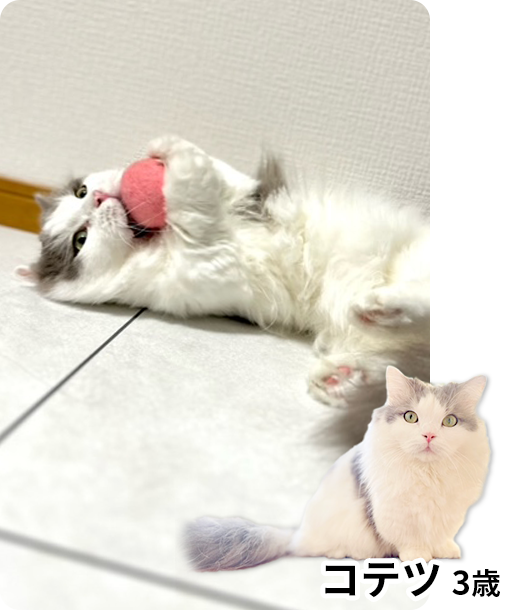 りりか