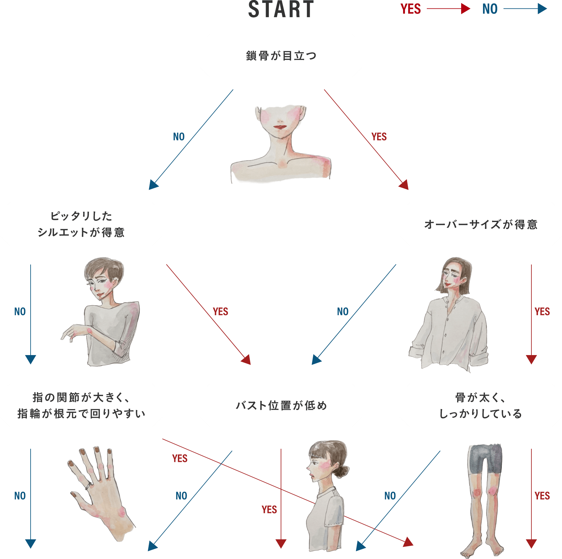 骨格診断チャート
