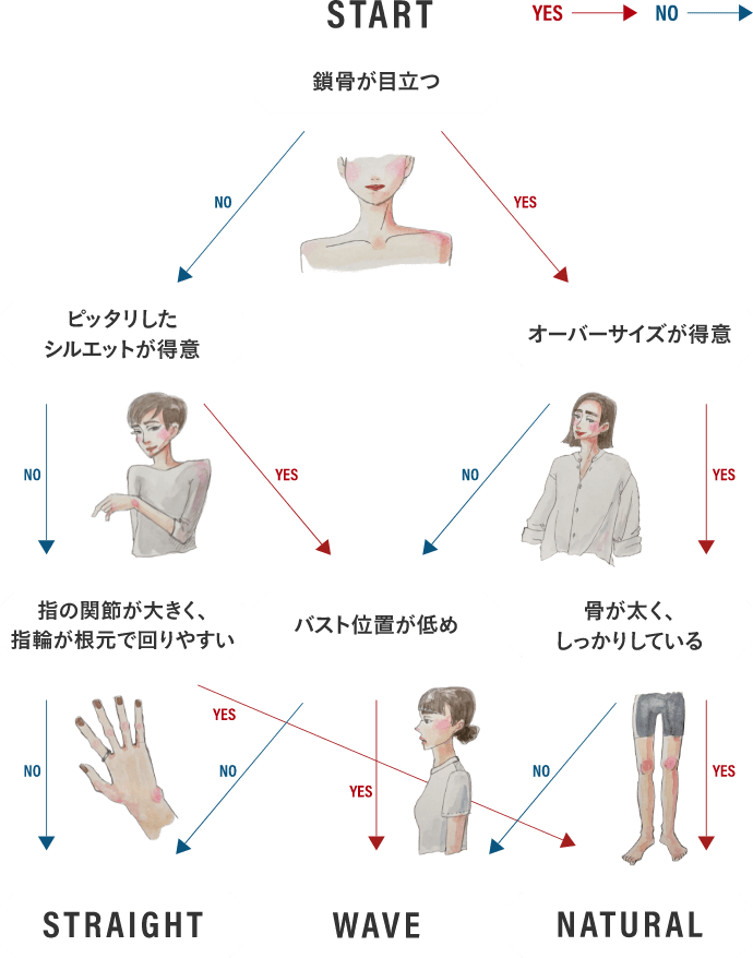 骨格診断チャート