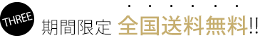 THREE 期間限定 全国送料無料!!