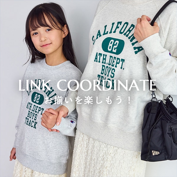 リンクアイテム