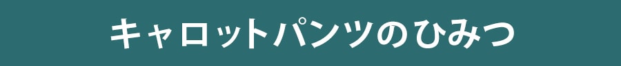 ttl