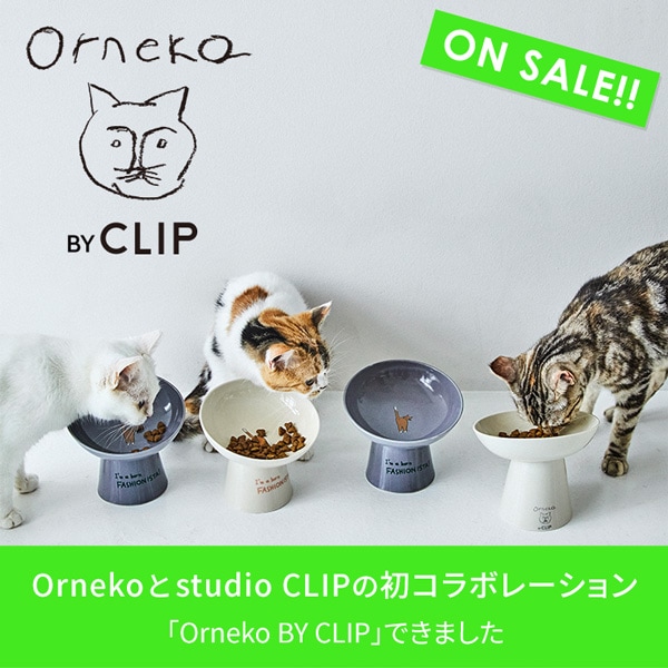 オルネコ(猫)