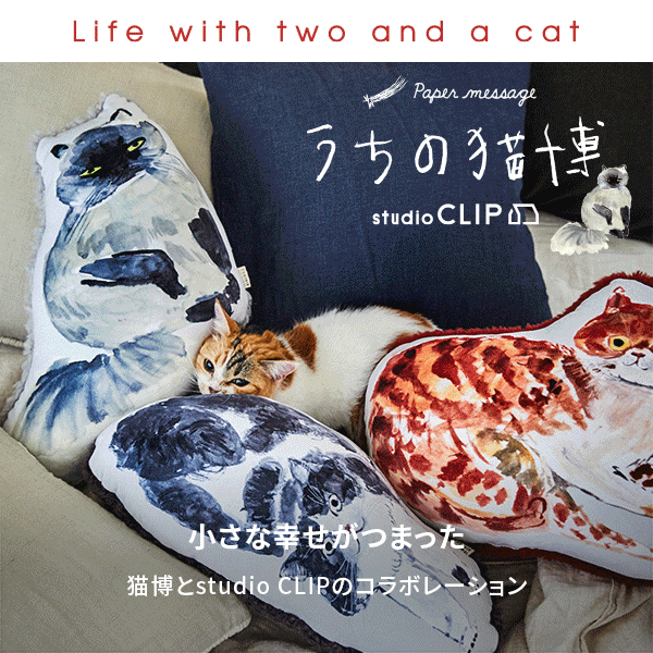 猫博