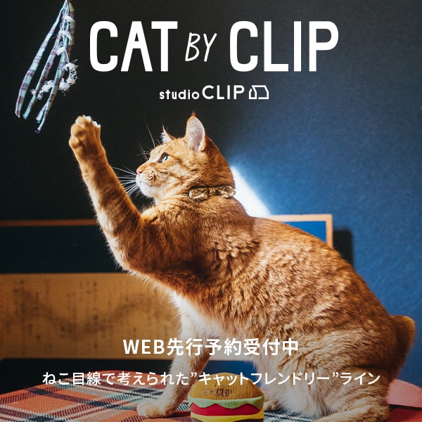 SC	CAT小物発売
