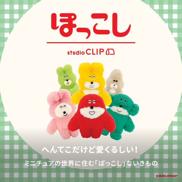 ぽっこしティザー