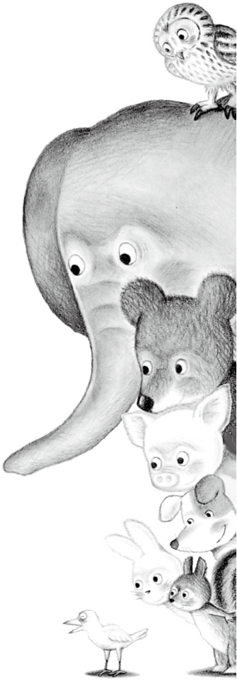 animalR