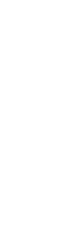 自由なセットアップ