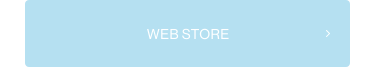 WEB STORE