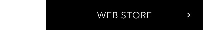 WEB STORE