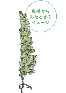 ツリー150cm half