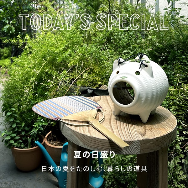 TS 夏の日盛り