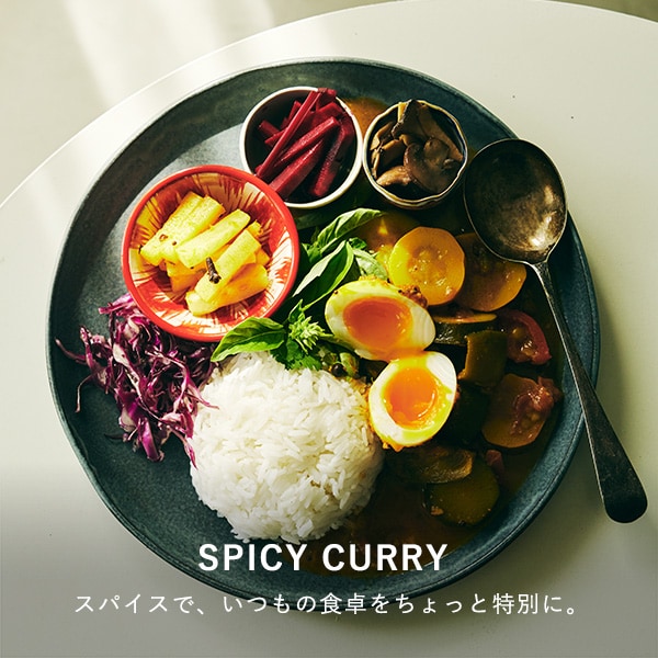 SPICY CURRY