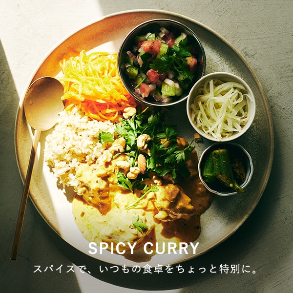 SPICY CURRY