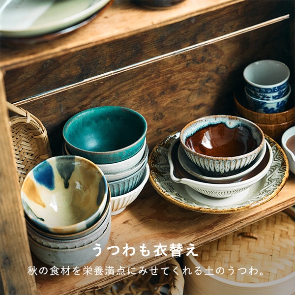 公式]TODAY'S SPECIAL（トゥデイズスペシャル）通販